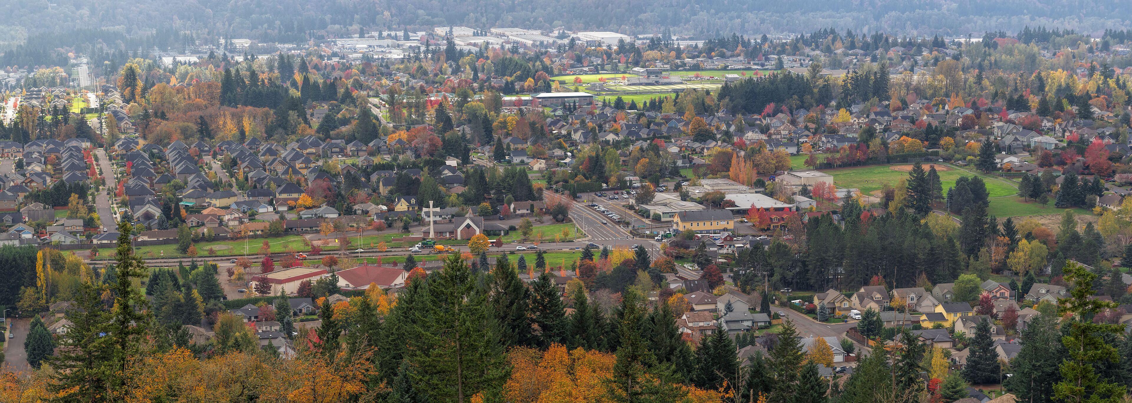 A suburban area with houses, trees, and a church.