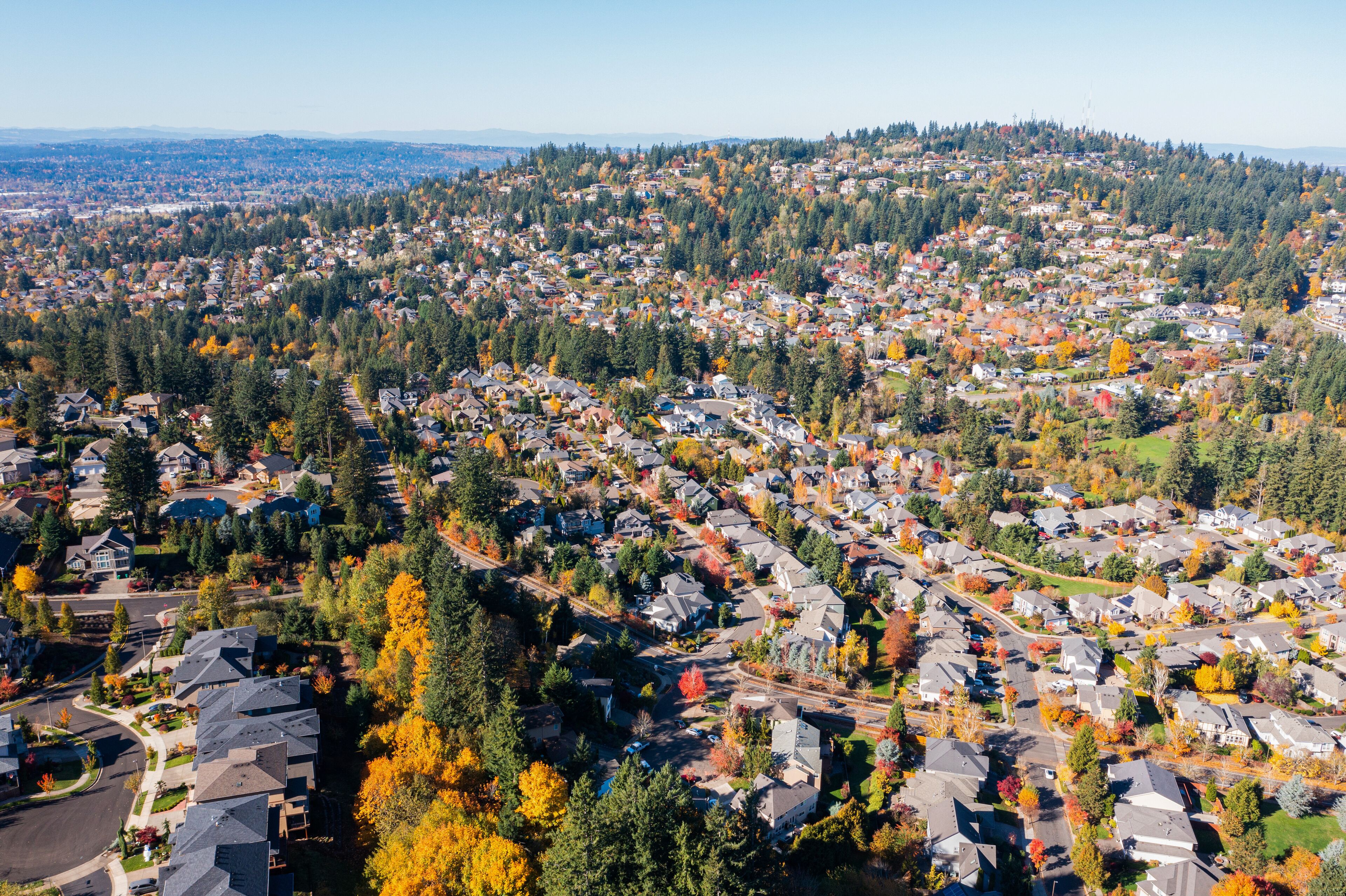 وادي السعادة