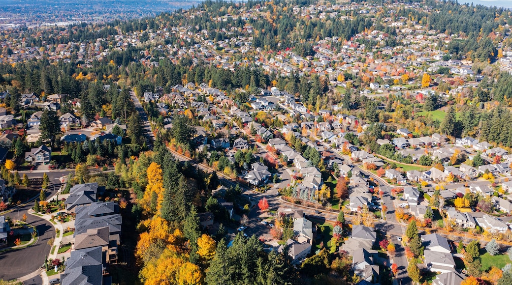 وادي السعادة