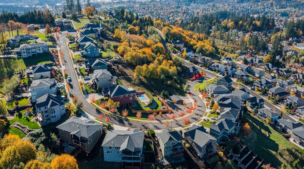 وادي السعادة