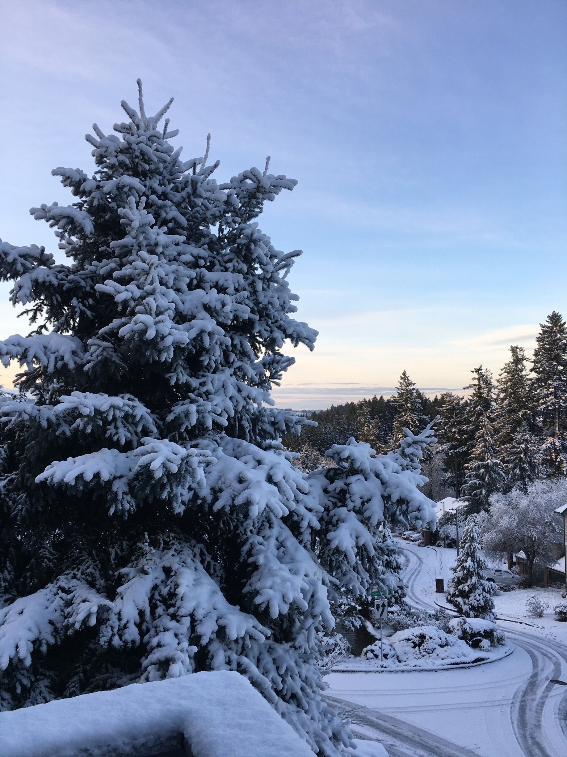 A late season snowfall just outside Portland Oregon, where our 3 month house sit is coming to a wintery end!

#pdx #portland #winterwonderland #oregon #snowfall #winter

www.visa-vis.com