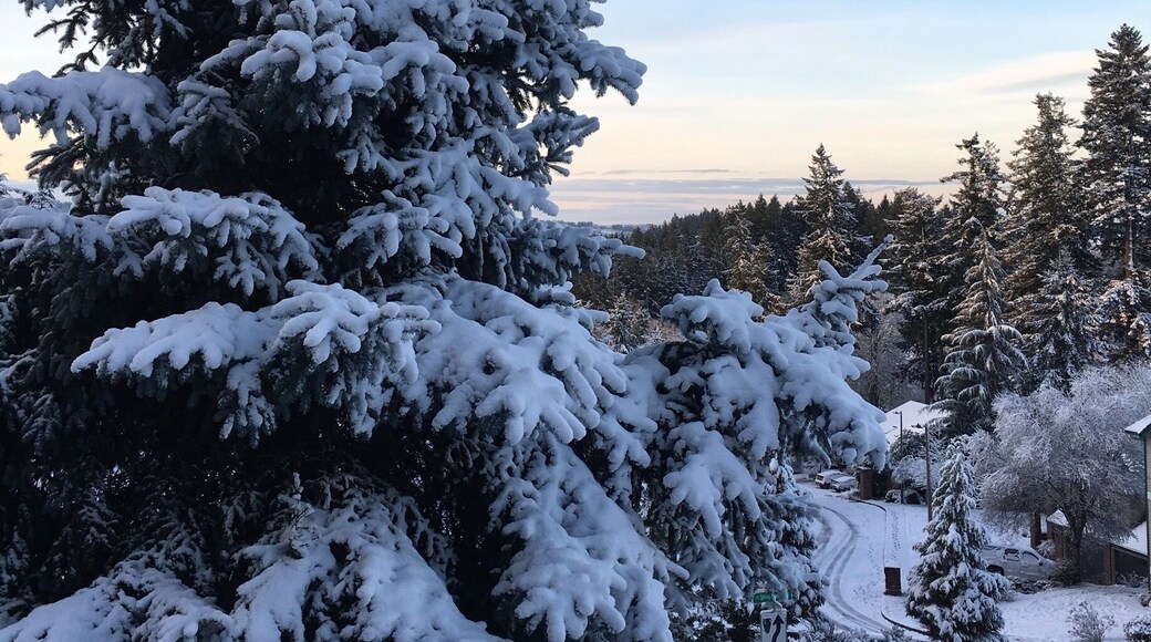 A late season snowfall just outside Portland Oregon, where our 3 month house sit is coming to a wintery end!
#pdx #portland #winterwonderland #oregon #snowfall #winter
www.visa-vis.com