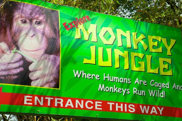 Monkey Jungle montrant animaux de zoo et signalisation