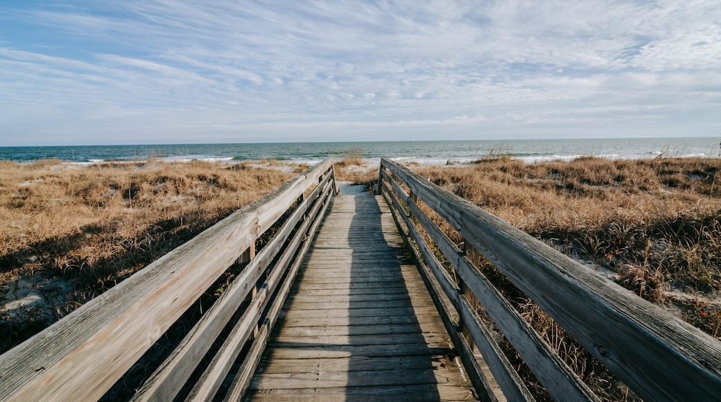 Huntington Beach State Park which includes general coastal views