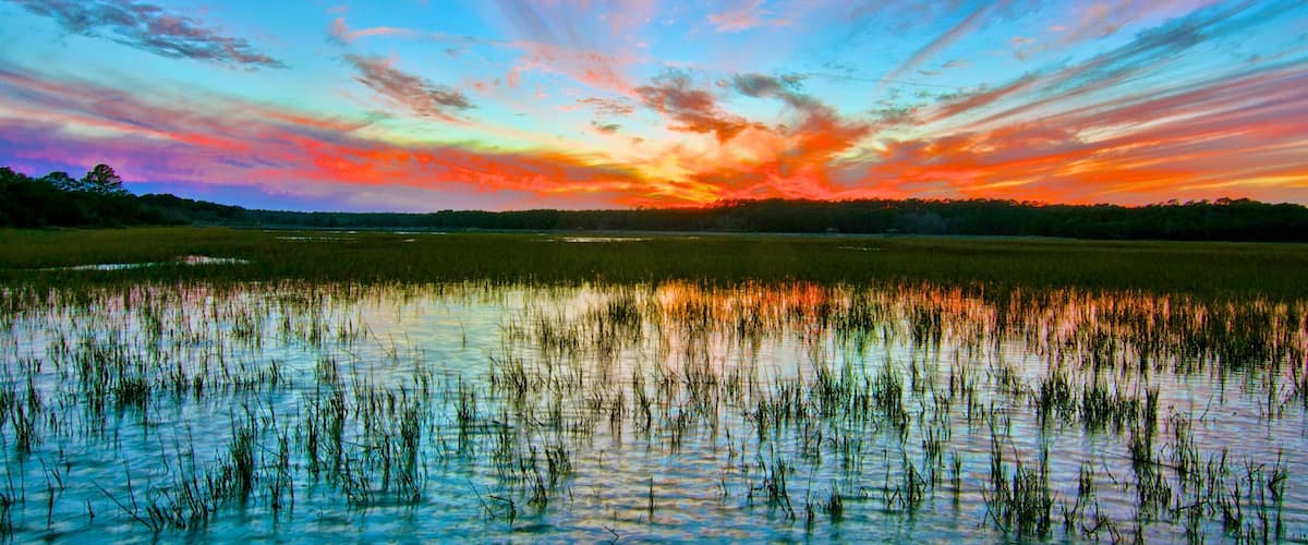 Huntington Beach State Park which includes a sunset, landscape views and wetlands
