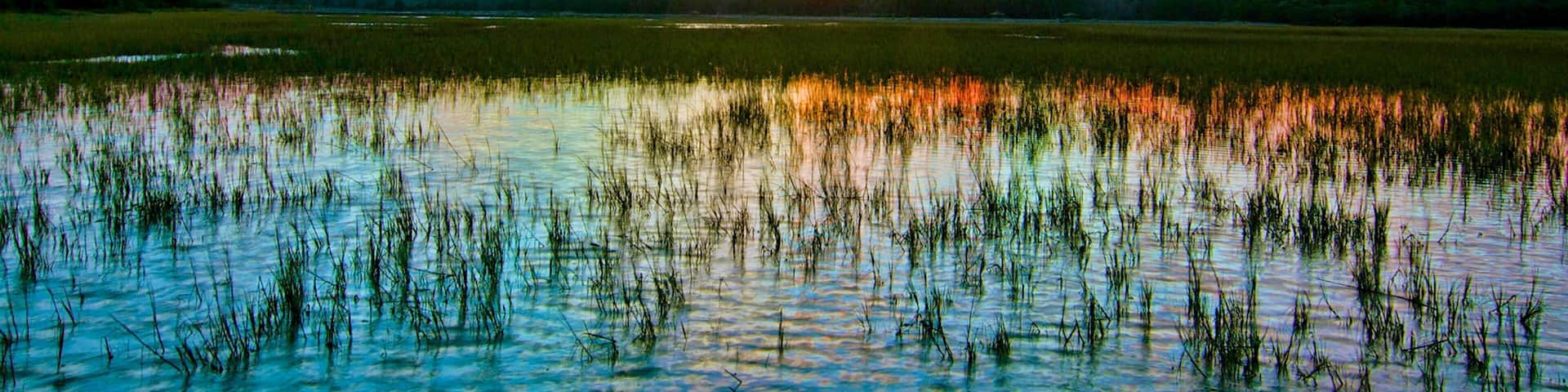 Huntington Beach State Park which includes a sunset, landscape views and wetlands