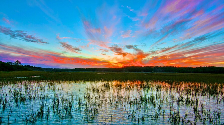 Huntington Beach State Park which includes a sunset, landscape views and wetlands