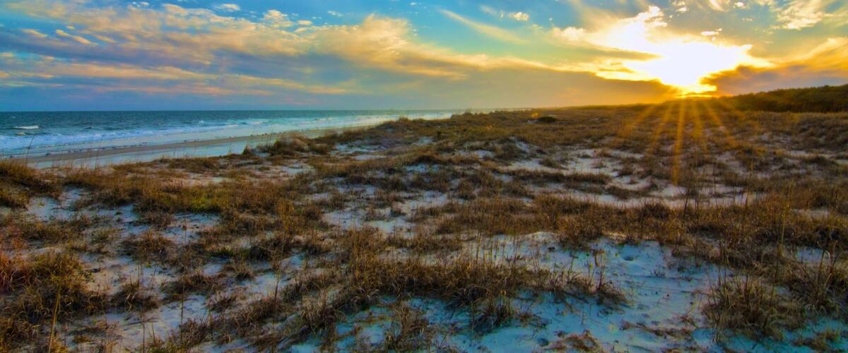 Huntington Beach State Park showing landscape views, a sunset and a sandy beach