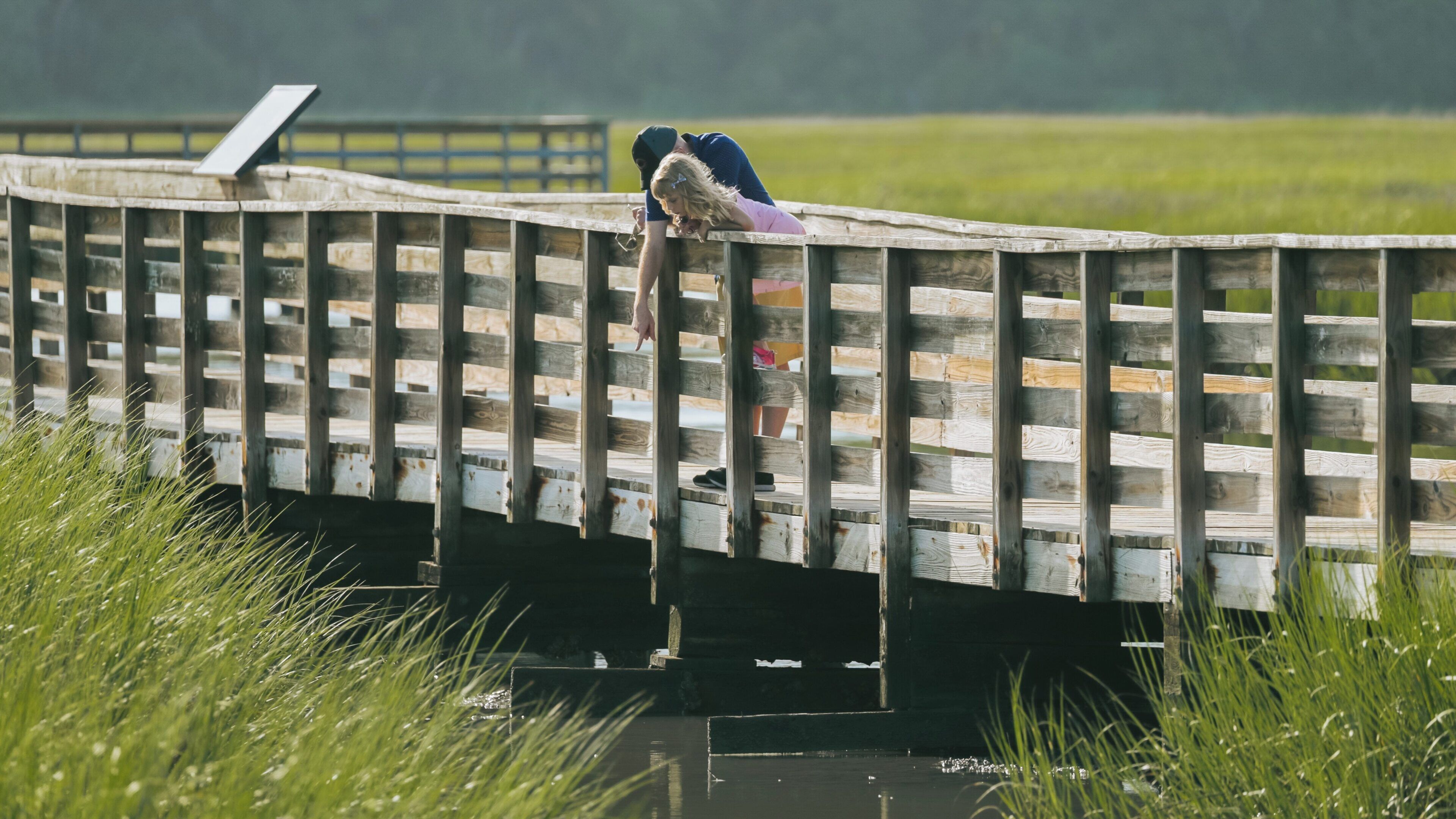 People enjoying a relaxing day at Huntington Beach State Park with a wooden boardwalk overlooking marshlands in Murrells Inlet, South Carolina