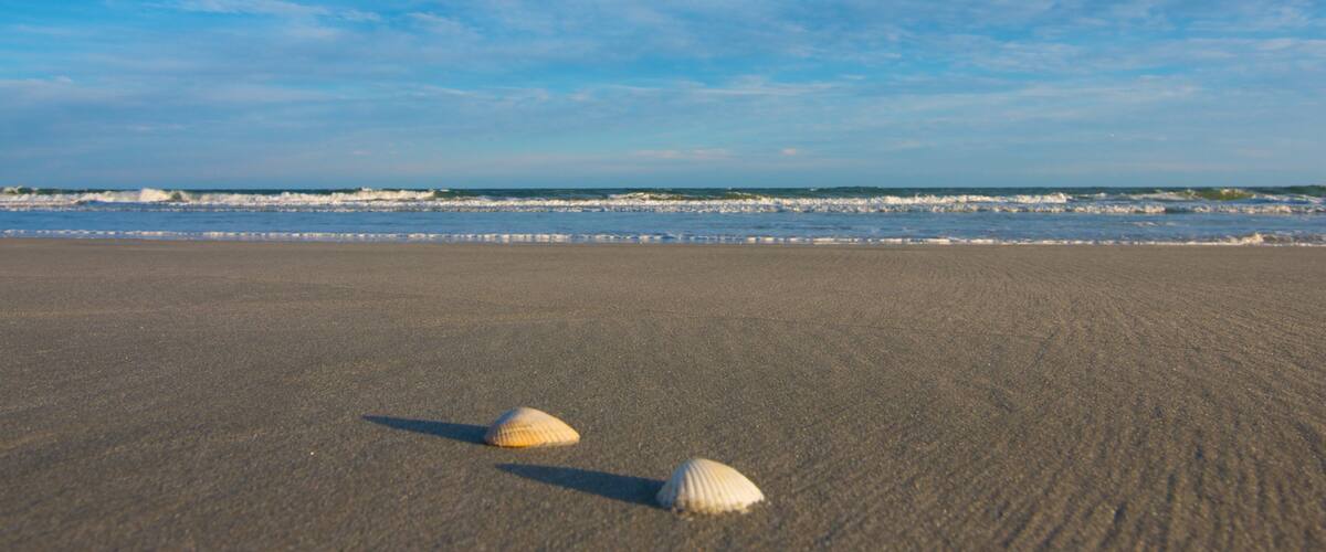 Huntington Beach State Park bevat landschappen, een strand en algemene kustgezichten