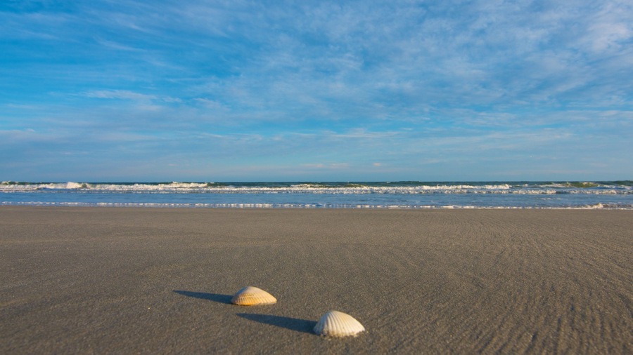 亨廷頓海灘國家公園 呈现出 海灘, 一般的海岸景觀 和 風景圖