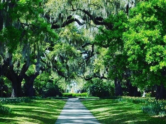 Archer and Anna Hyatt Huntington
Brookgreen Gardens as we know it today was conceived by philanthropists Archer and Anna Hyatt Huntington. He was the heir to a railroad fortune, and she was a famous sculptor raised by parents who instilled in her a love for art and nature. They married in 1923, when she was already an established sculptor.  In the late 1920s, Anna was taken ill by tuberculosis and they traveled to South Carolina in search of a warmer climate to aid her recovery. Here, they fell deeply in love with the beauty of the lowcountry; they purchased the nearly 10,000 acres from the Waccamaw River to the Atlantic Ocean that once made up the four plantations to create their winter retreat. 
 
#History