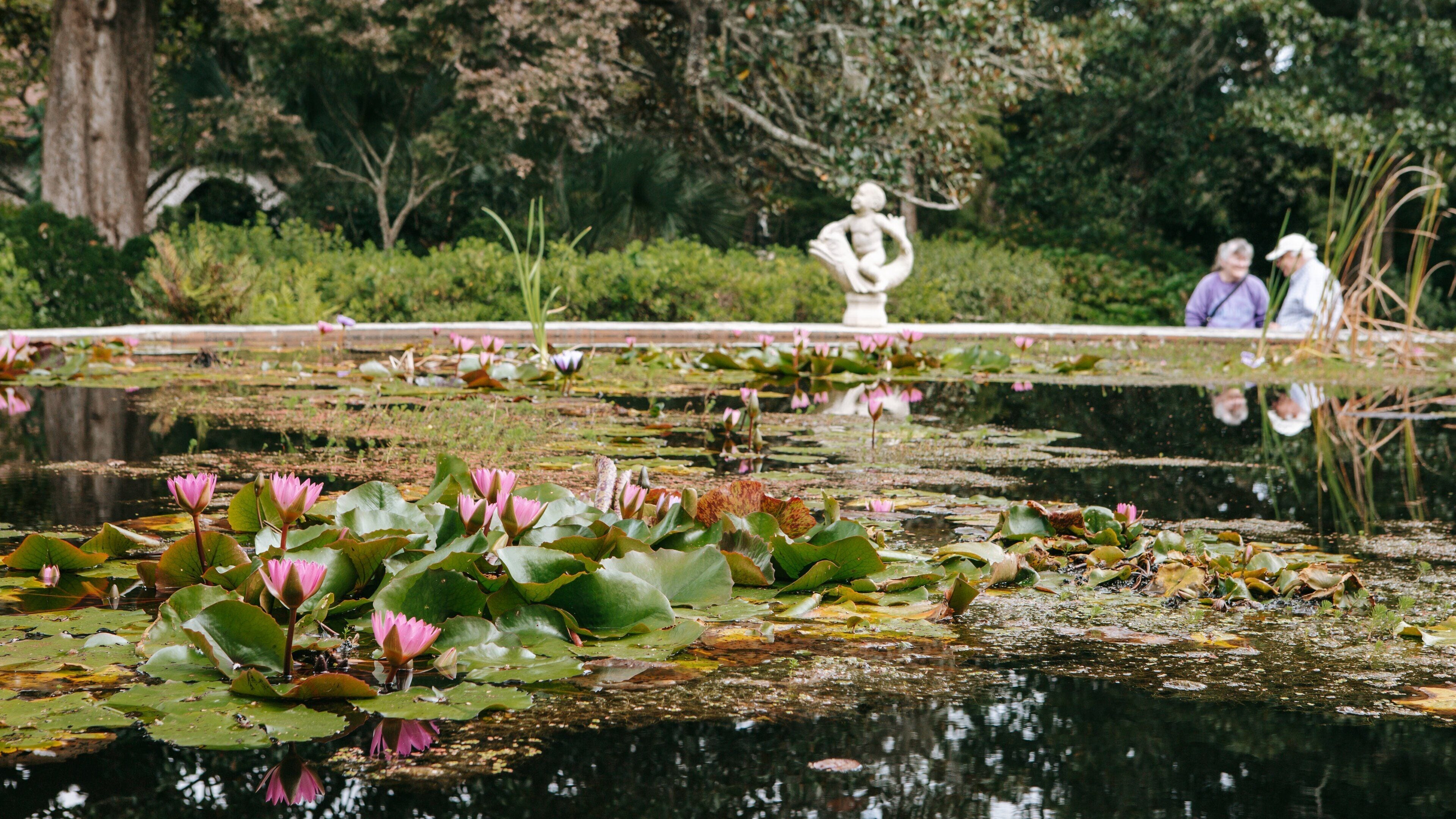 Brookgreen Gardens which includes a pond and wetlands
