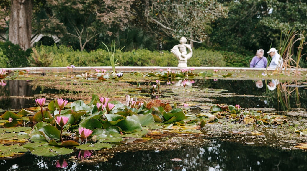 Brookgreen Gardens which includes a pond and wetlands