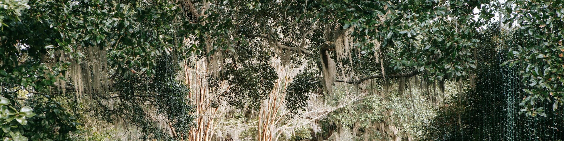 Brookgreen Gardens featuring a statue or sculpture and a garden as well as a couple