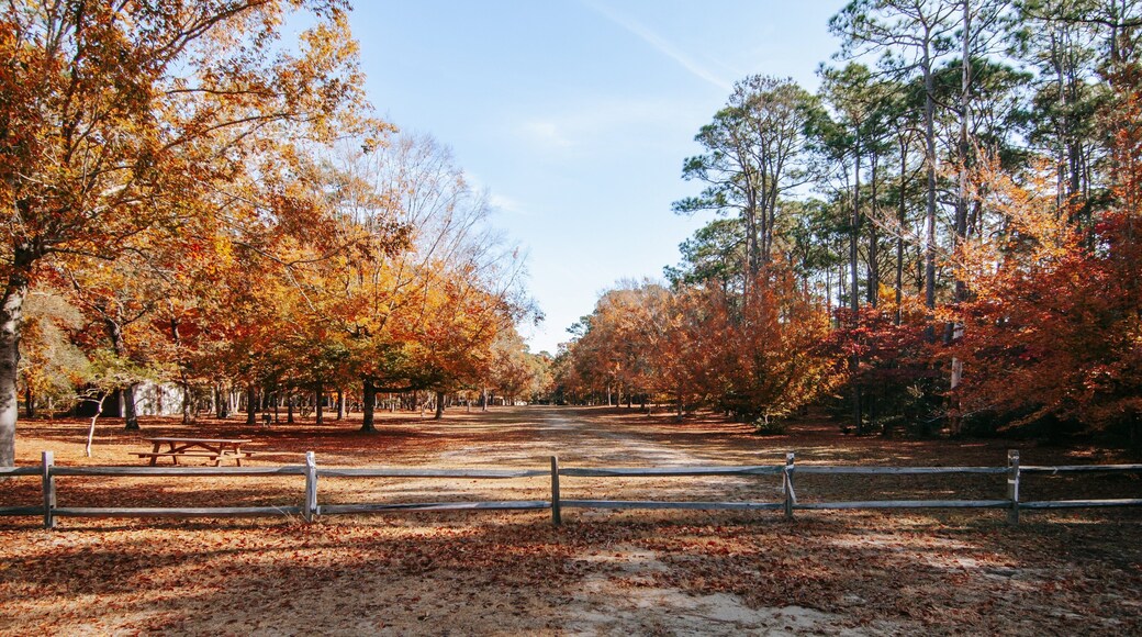 Brookgreen Gardens which includes a garden and autumn leaves