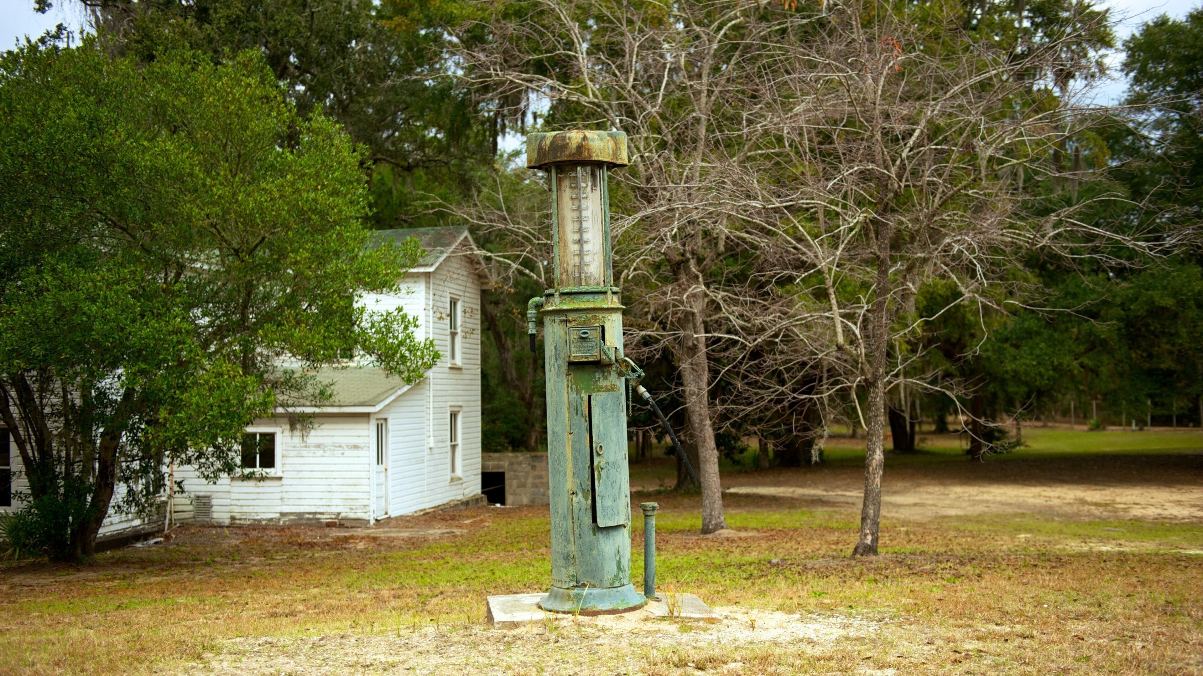 Hobcaw Barony mostrando una casa