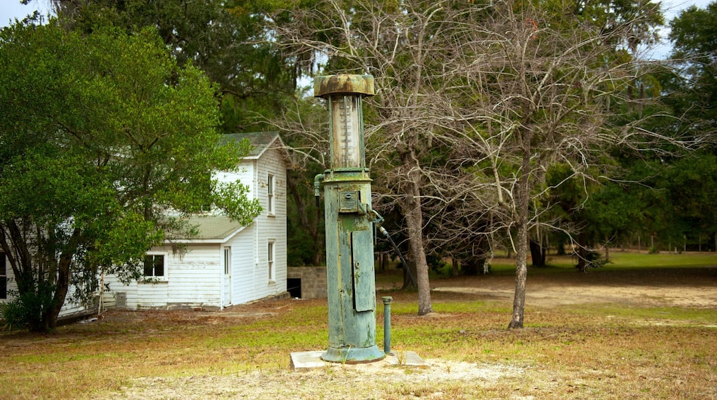 Hobcaw Barony naturpark fasiliteter samt hus
