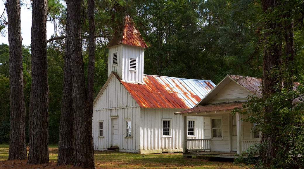 Hobcaw Barony que inclui uma casa