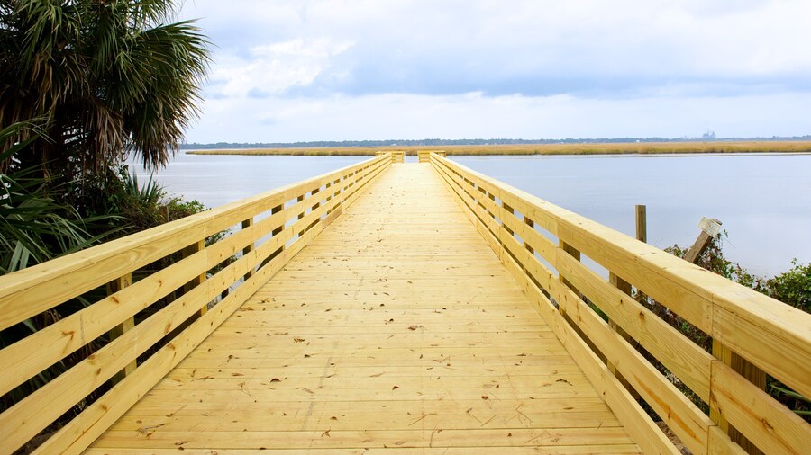 Hobcaw Barony showing views and a river or creek