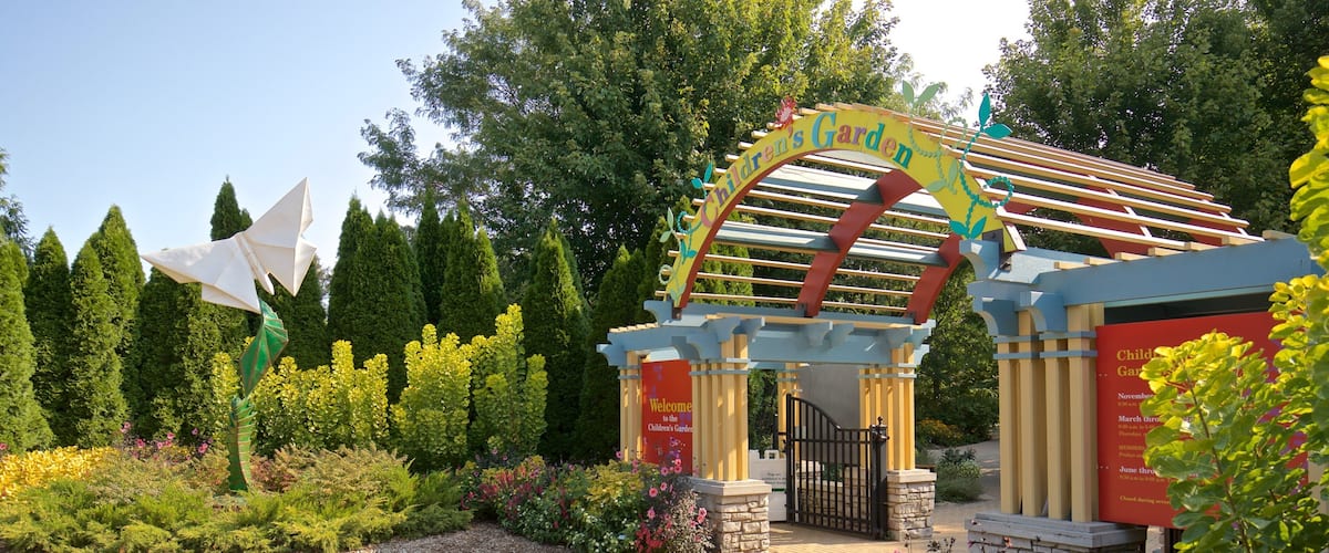 Morton Arboretum showing wild flowers and a park
