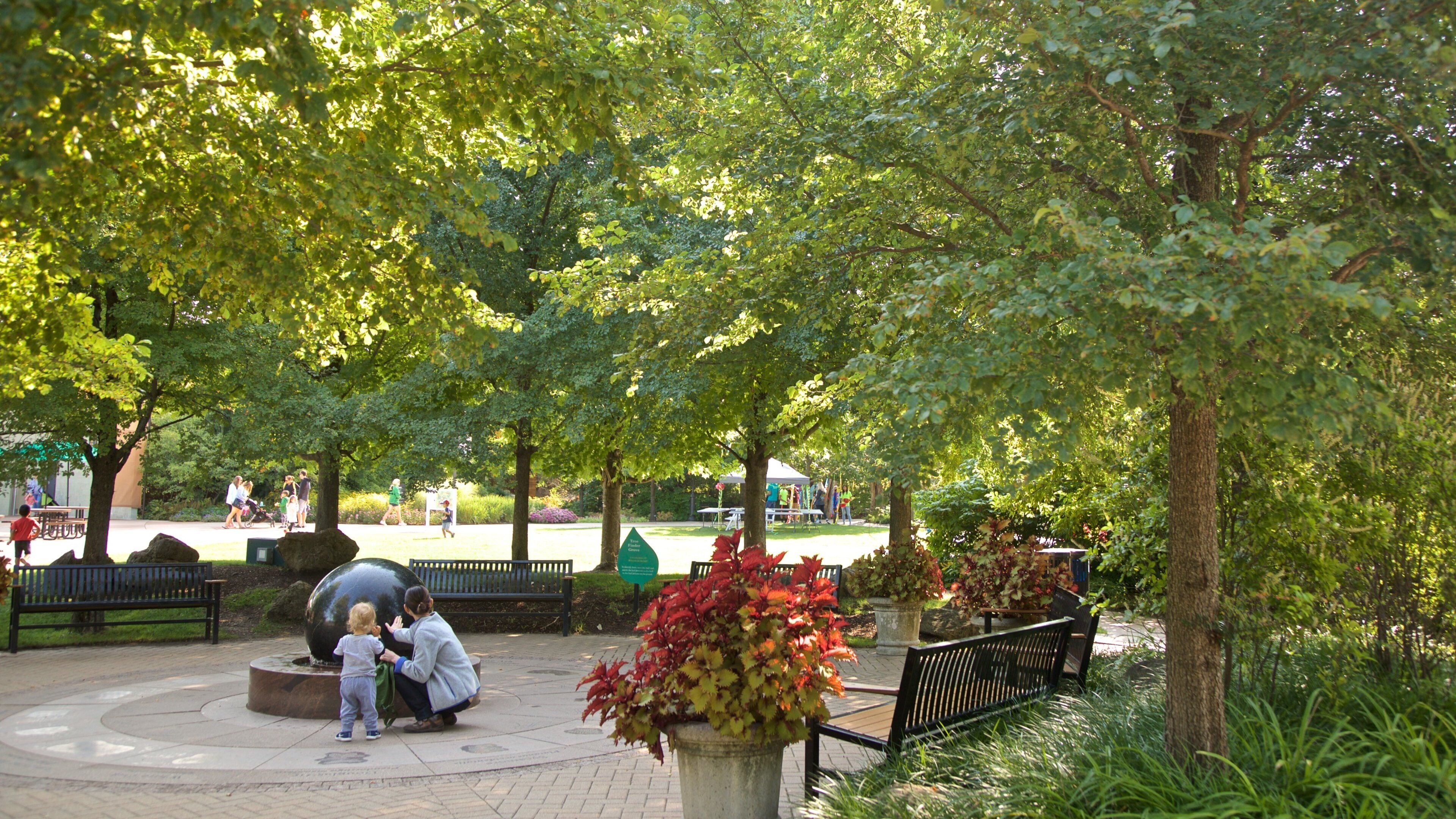 Morton arboretum som inkluderer park i tillegg til familie