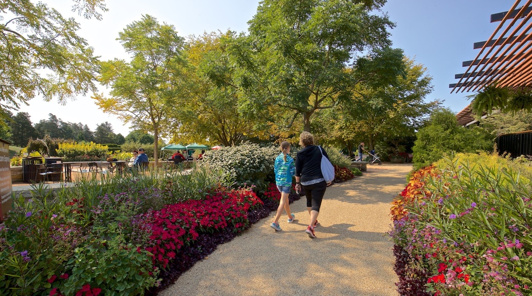 Morton Arboretum showing a garden and wildflowers as well as a family