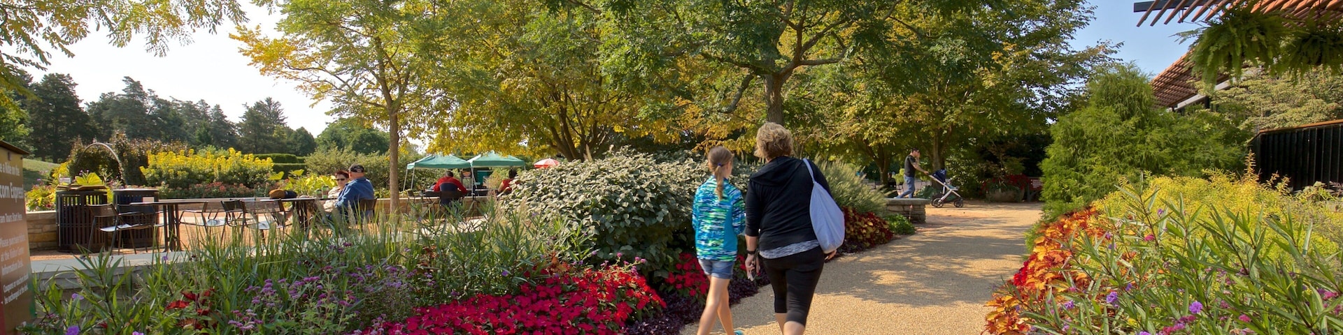 Morton Arboretum showing a garden and wildflowers as well as a family