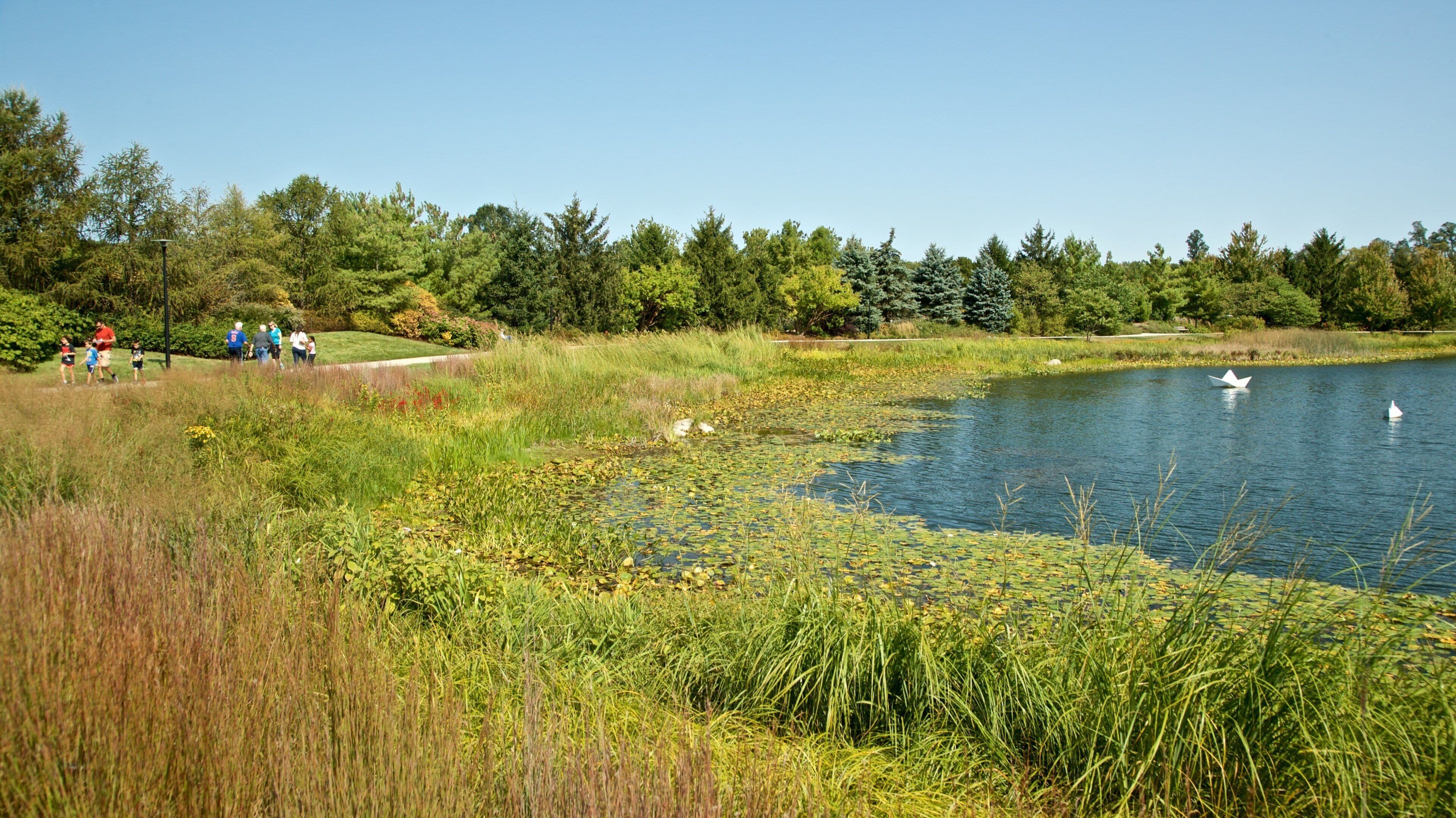 Morton Arboretum which includes a pond