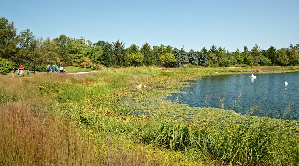 Morton Arboretum which includes a pond