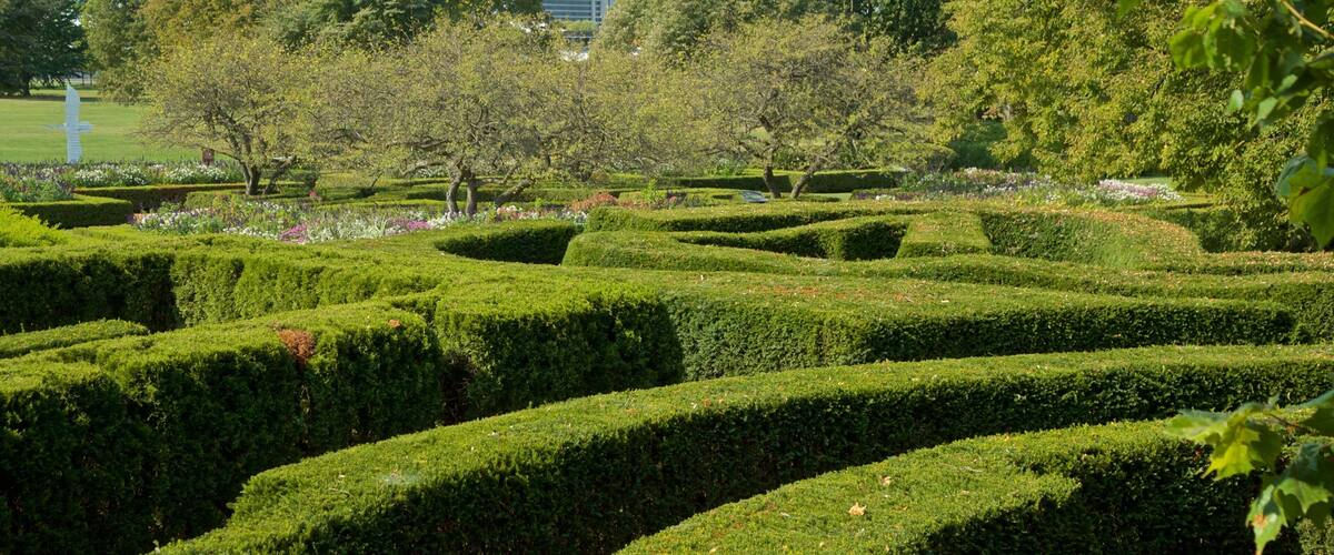 Morton arboretum som viser hage