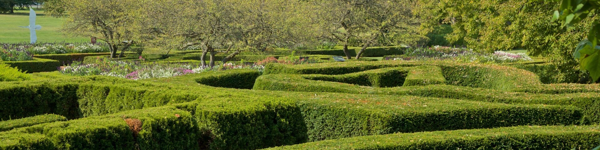 Morton Arboretum mostrando un jardín