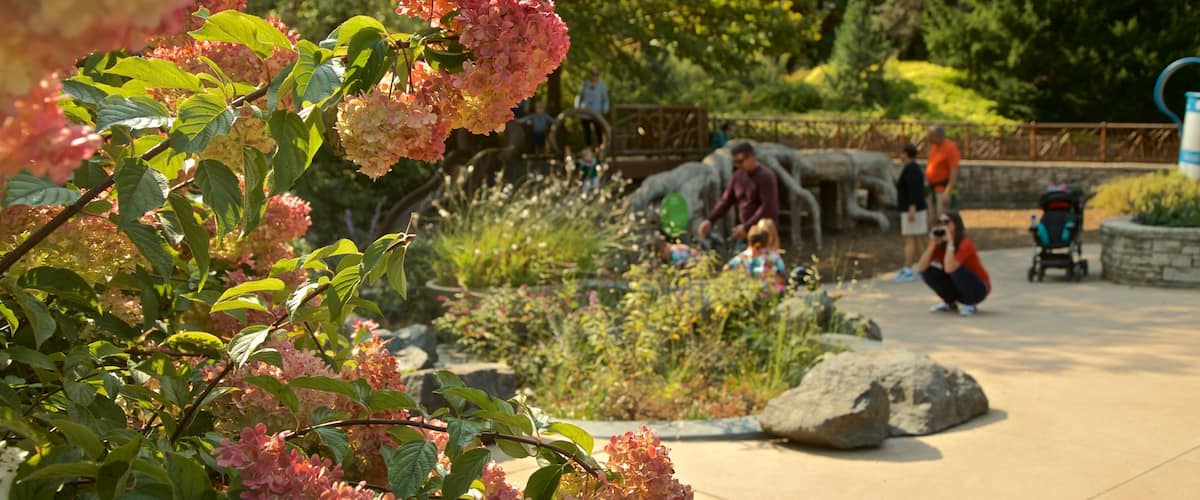 Morton Arboretum featuring luonnonvaraiset kukat ja puutarha