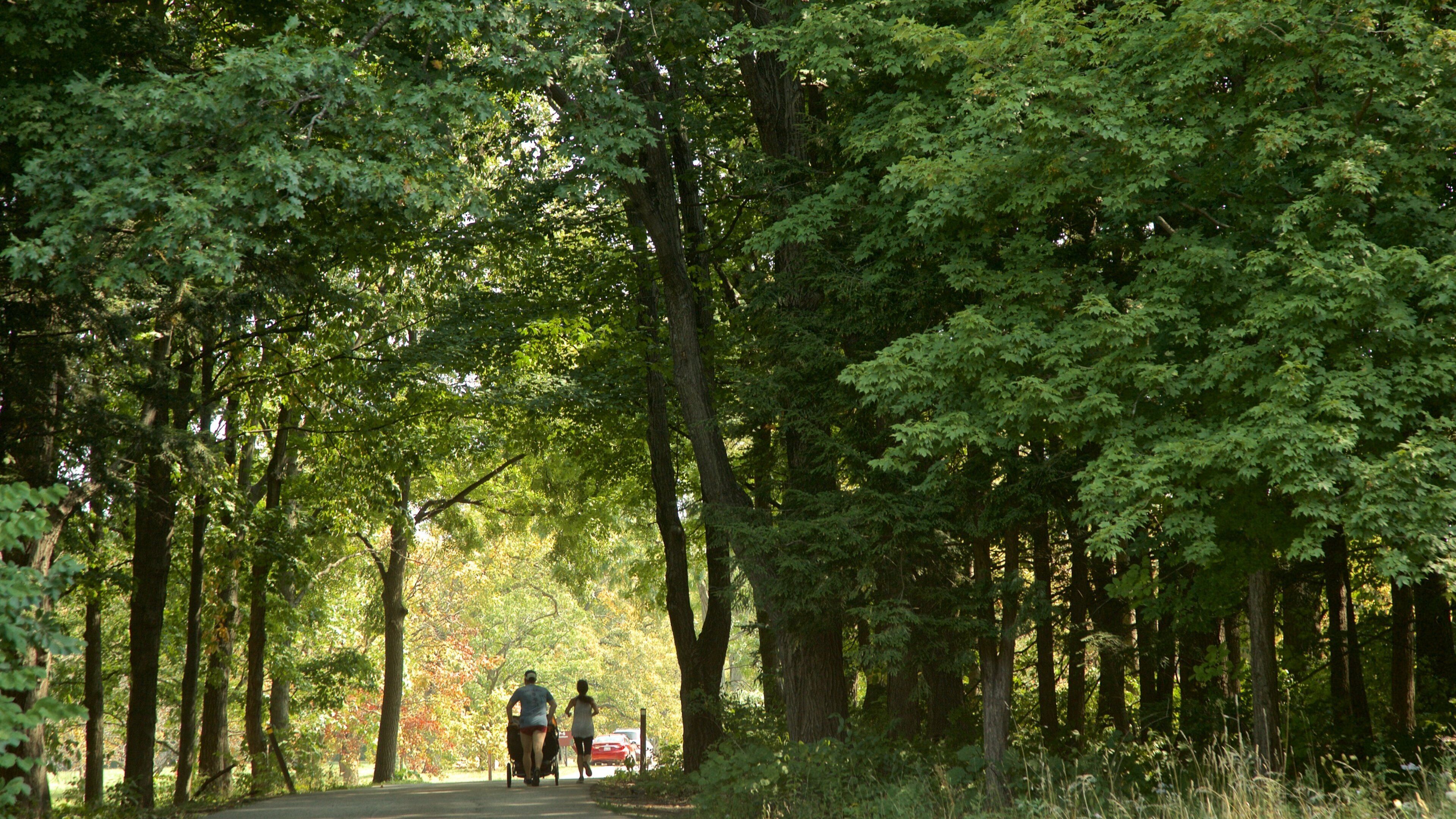 Morton Arboretum showing hiking or walking and a park as well as a couple