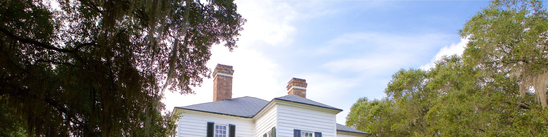 Hopsewee Plantation mettant en vedette maison et parc