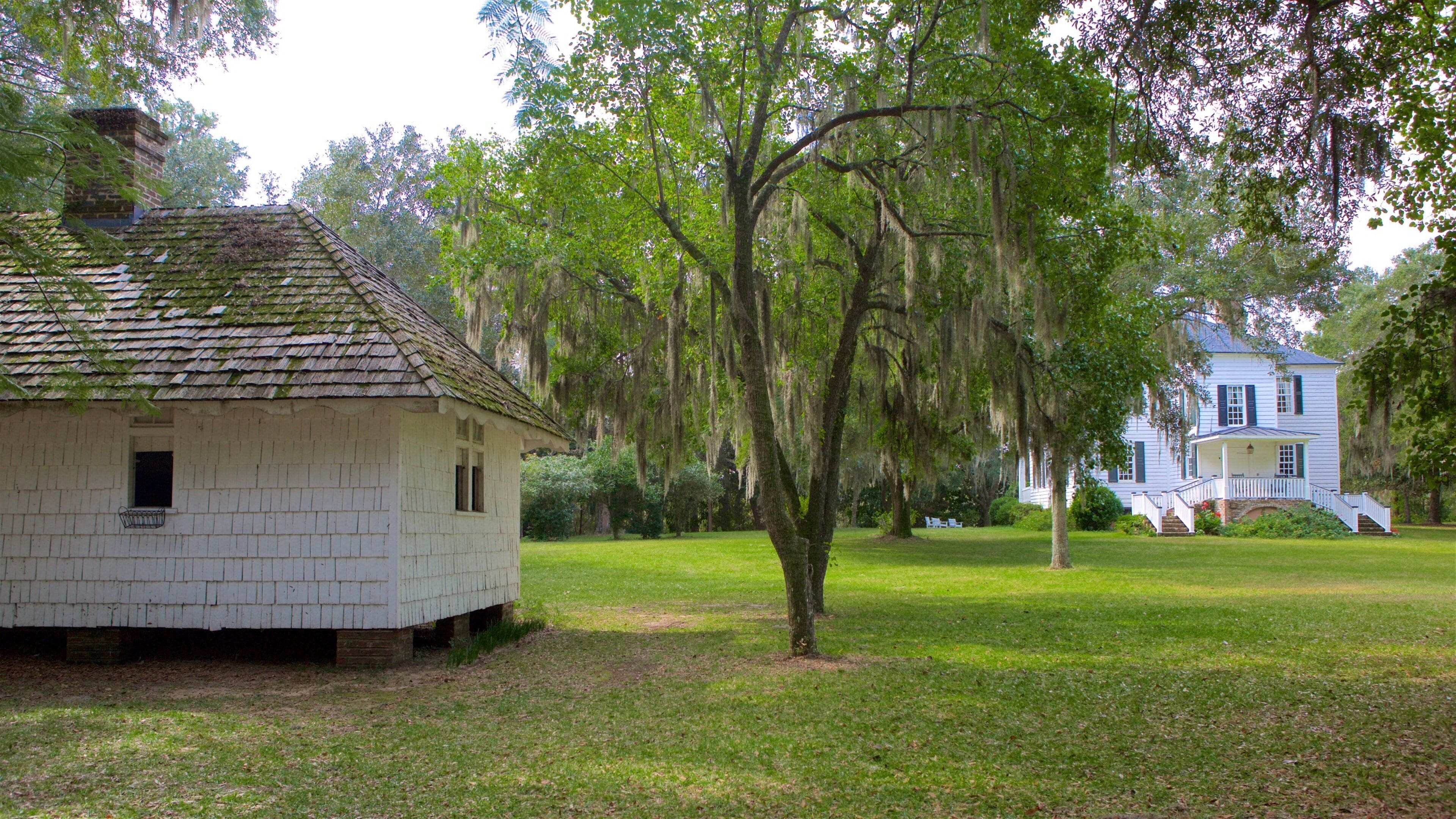A white house with a moss-covered roof, a large tree with hanging moss, and a blue house in the background.