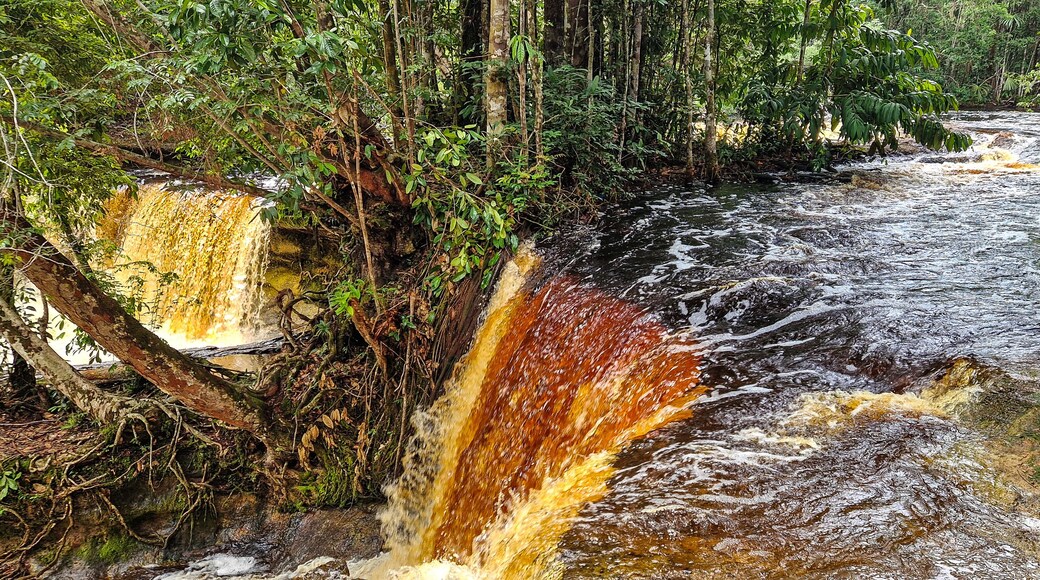 Presidente Figueiredo