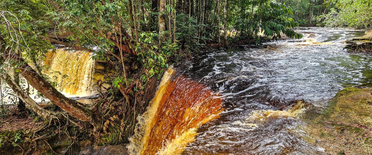 A river with a waterfall surrounded by dense forest.