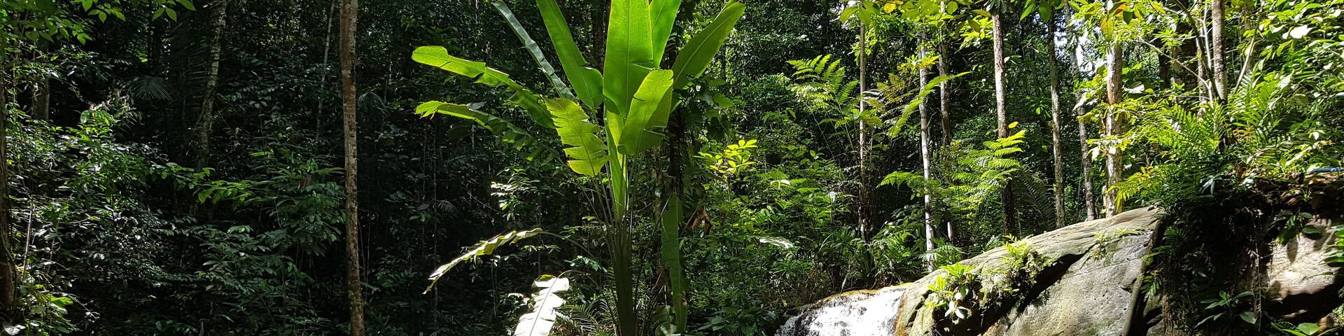 Jaguar Waterfall,at Presidente Figueiredo. Amazon, Brazil