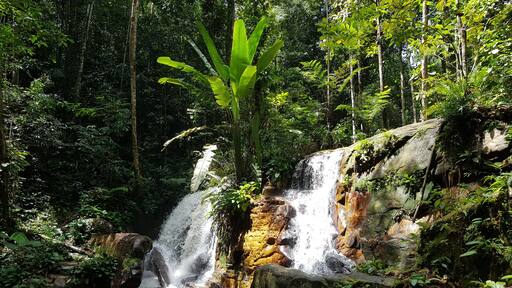 Jaguar Waterfall,at Presidente Figueiredo. Amazon, Brazil