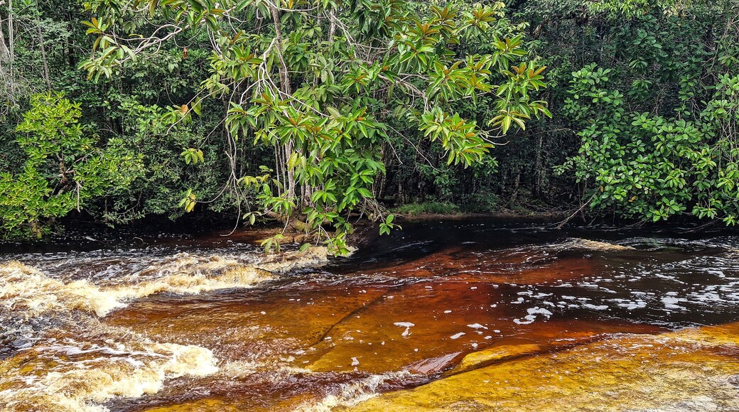 Presidente Figueiredo