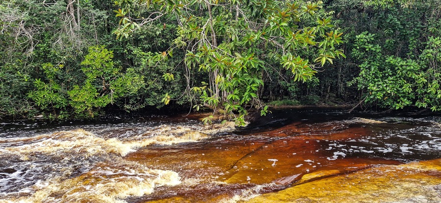 Macaws waterfall in Presidente Figueiredo near Manaus in the amazon region in Brazil