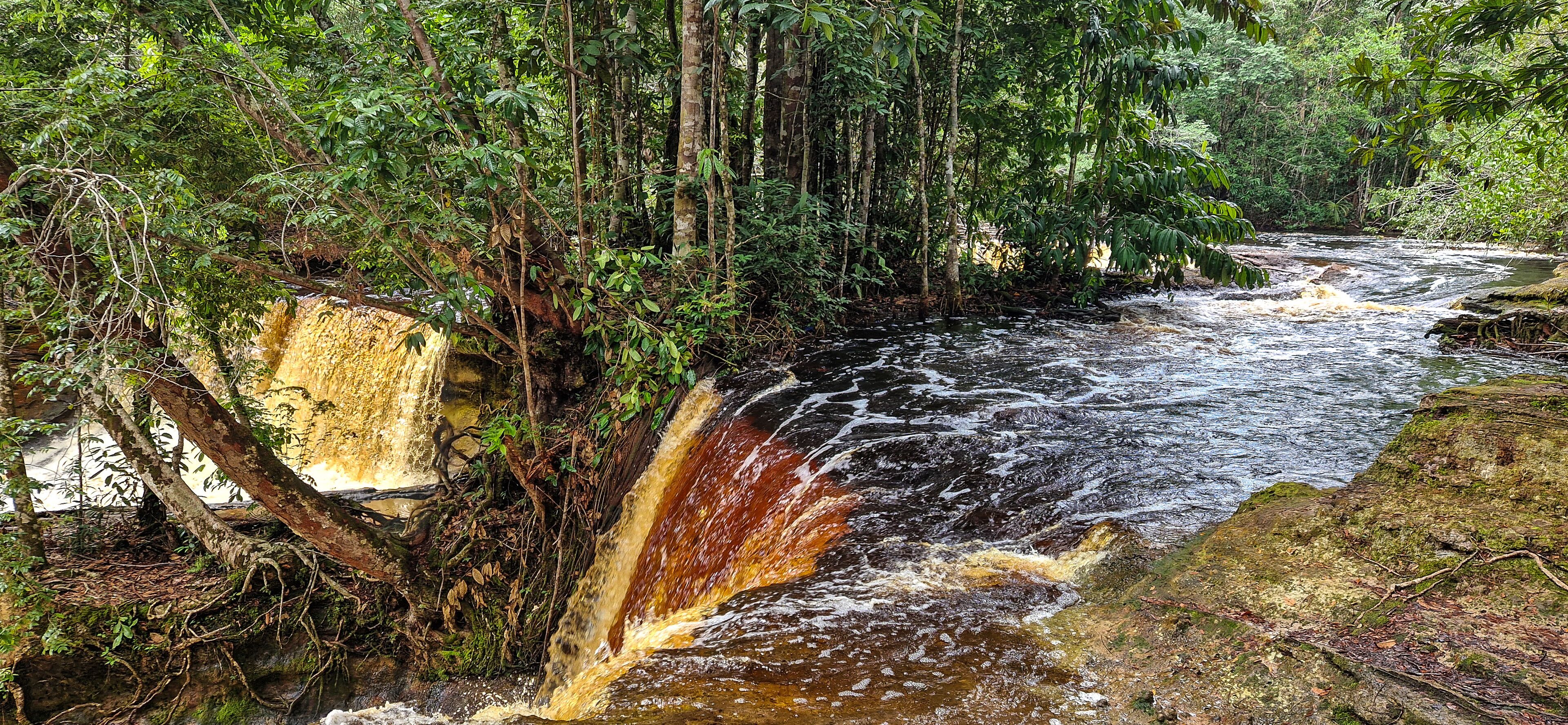 Presidente Figueiredo