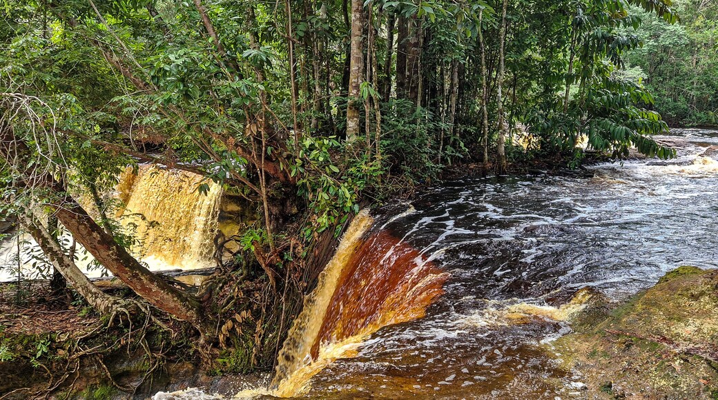 Presidente Figueiredo