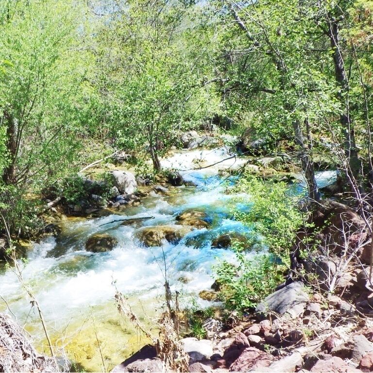A clear stream flowing through a rocky terrain with green vegetation.