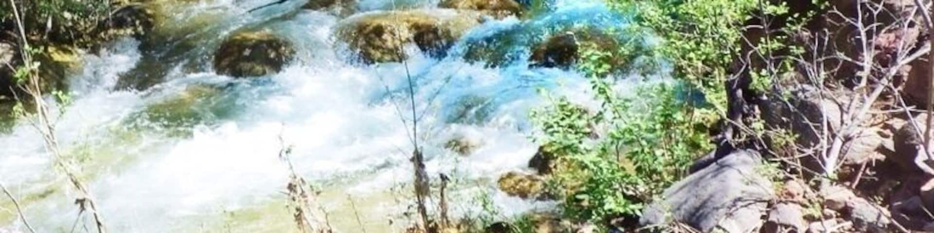 A clear stream flowing through a rocky terrain with green vegetation.