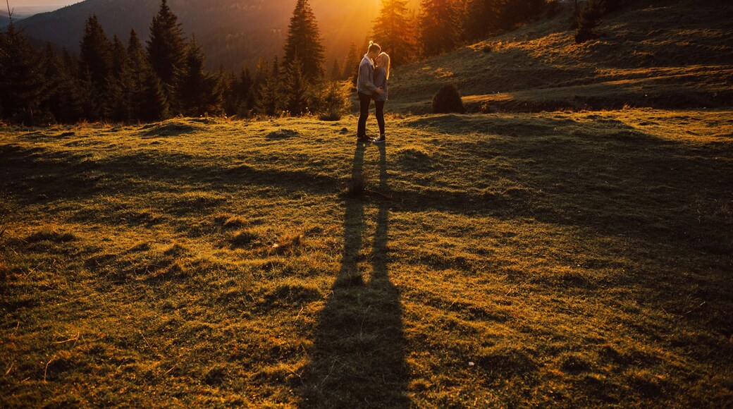 Warm evening sun light. Happy young couple hugging and kissing at sunset with amazing mountain view and pine forest. Silhouette.