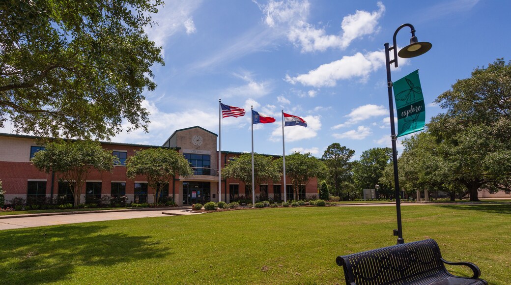 Friendswood City Hall, a small town in the Houston metro area