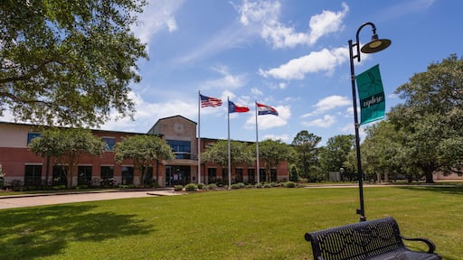 フレンズウッド