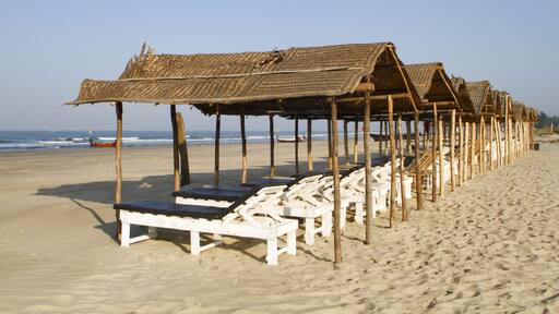 Shaded beach beds at Mandrem beach Pernem Goa, India